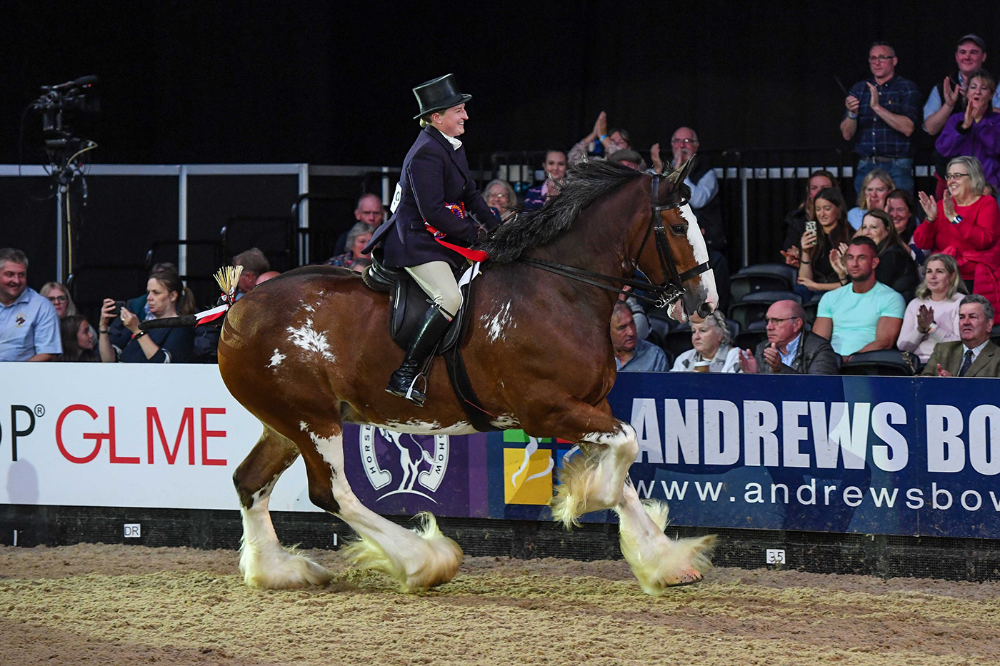 Glenside Matthew&amp;rsquo;s Flower Of Scotland and Kirsty Aird win the ridden heavy horse title at HOYS 2021