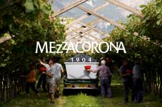 'Mezzacorona' logo overlayed over image of men harvesting grapes 