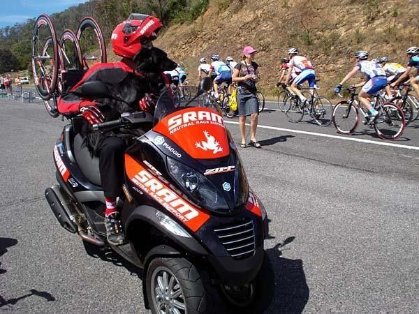 Most of the Torq Team raced in the Tour of Bright road race in Victoria the week before the You Yangs