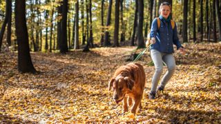 Woman walking dog in the park