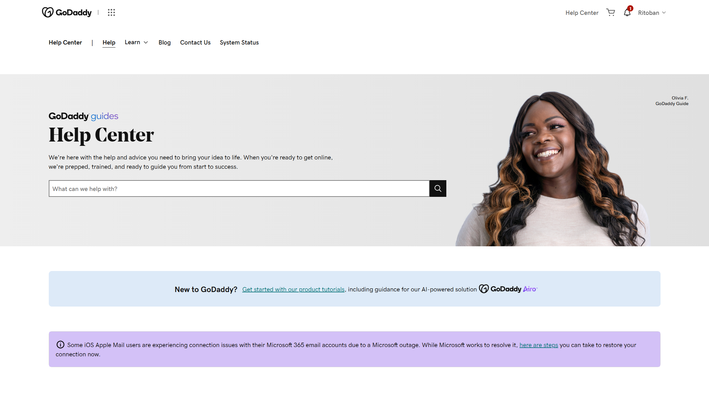 GoDaddy support