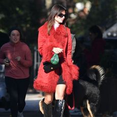 Emily Ratajkowski wears a shearling trim coat.