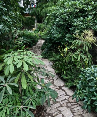 relaxed stone pathway at chelsea flower show 2021