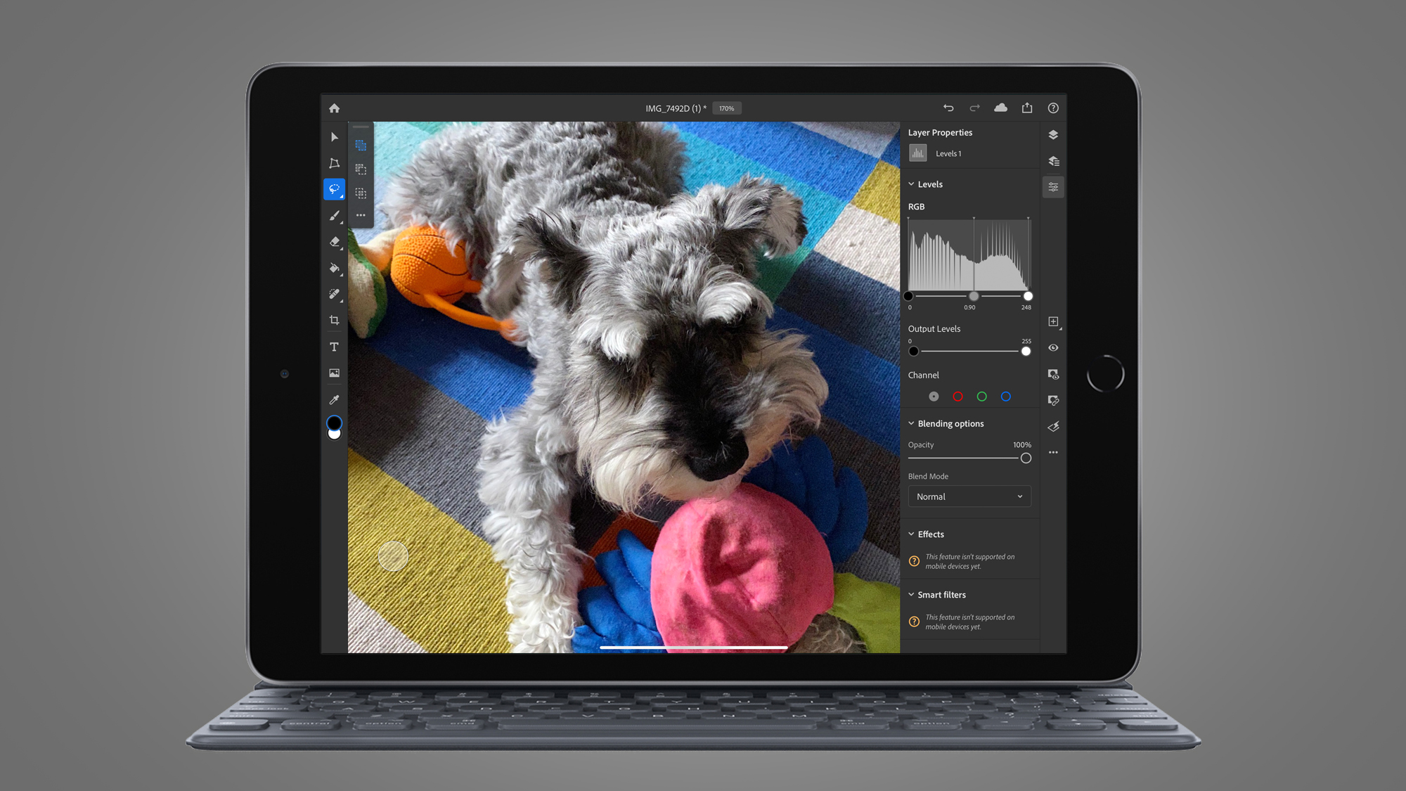 Adobe Photoshop