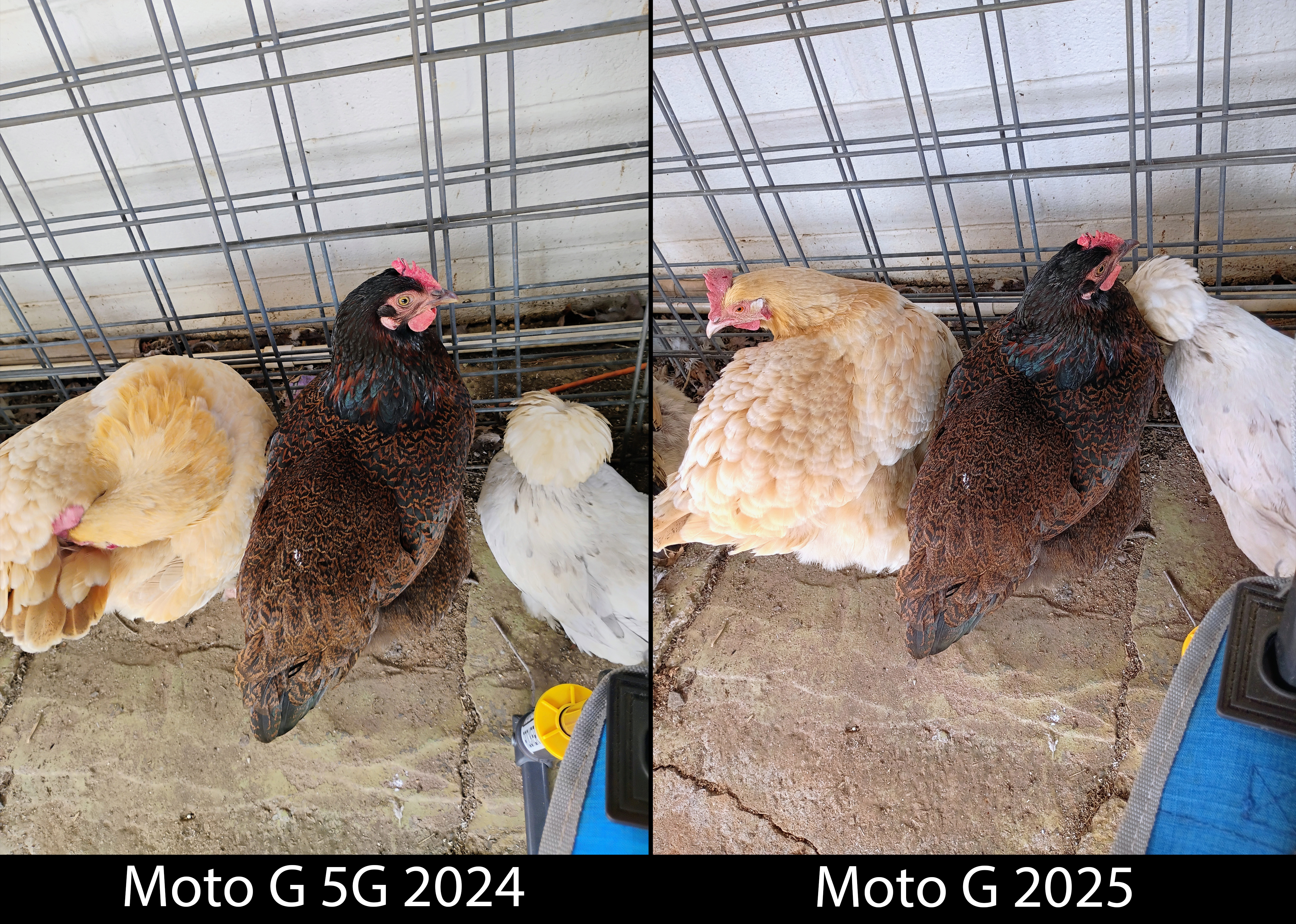 Comparing the Moto G 5G 2024 and Moto G 2025's camera quality