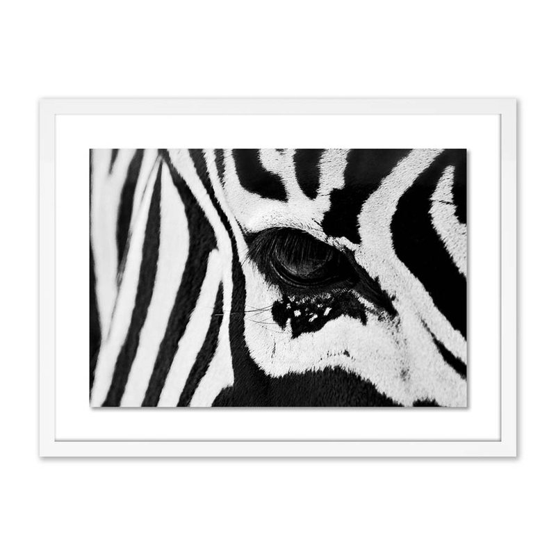 Four Hands Art Studio 'zebra Eye' by Pernille Westh - Picture Frame Graphic Art Print on Paper | Wayfair