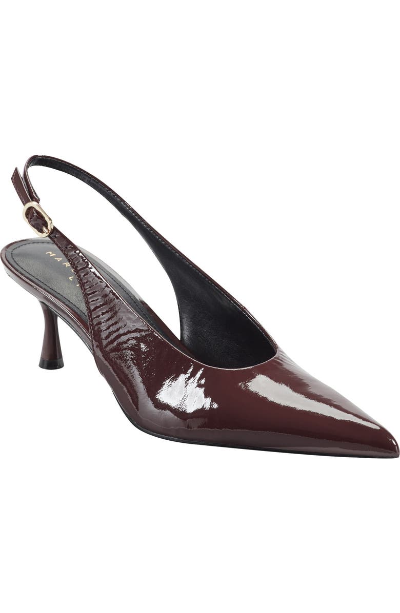 Renner pointing toe lever pump