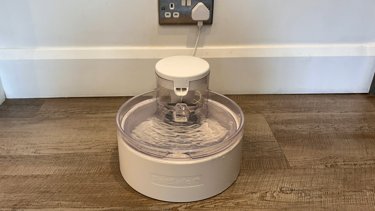 PetSafe Outlast Cat Fountain, one of the best pet fountains