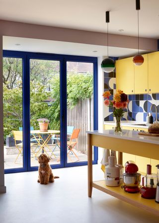 A bright yellow and blue kitchen. The kitchen island is painted yellow with lower and upper cabinets painted yellow too. The door frame leading to the garden has also been painted blue. There is also a puppy sitting in the kitchen by the patio door.