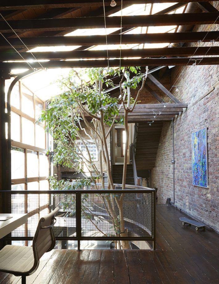 how to bring the outdoors in with an indoor tree