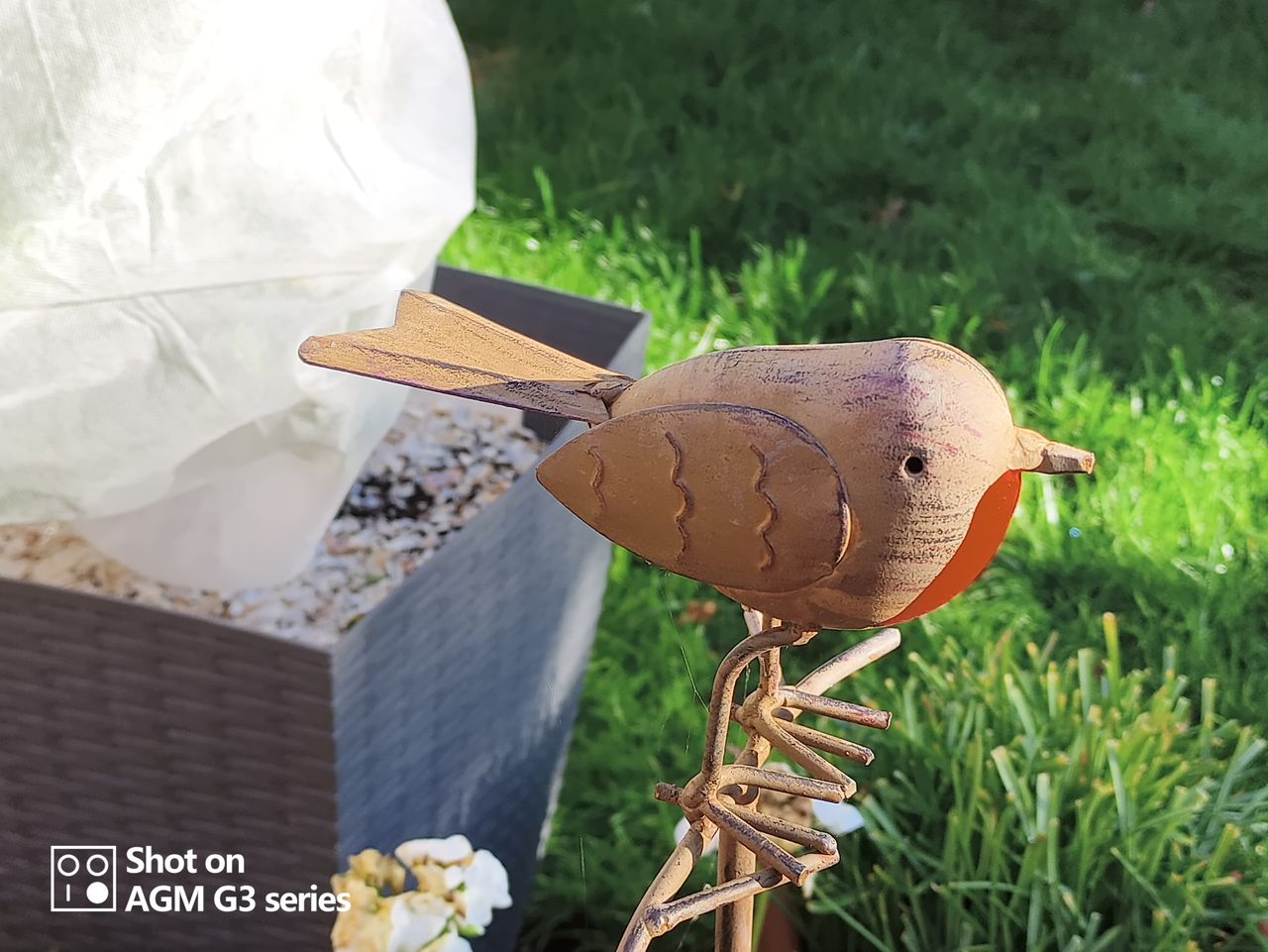 AGM G3 Pro photo and thermal examples