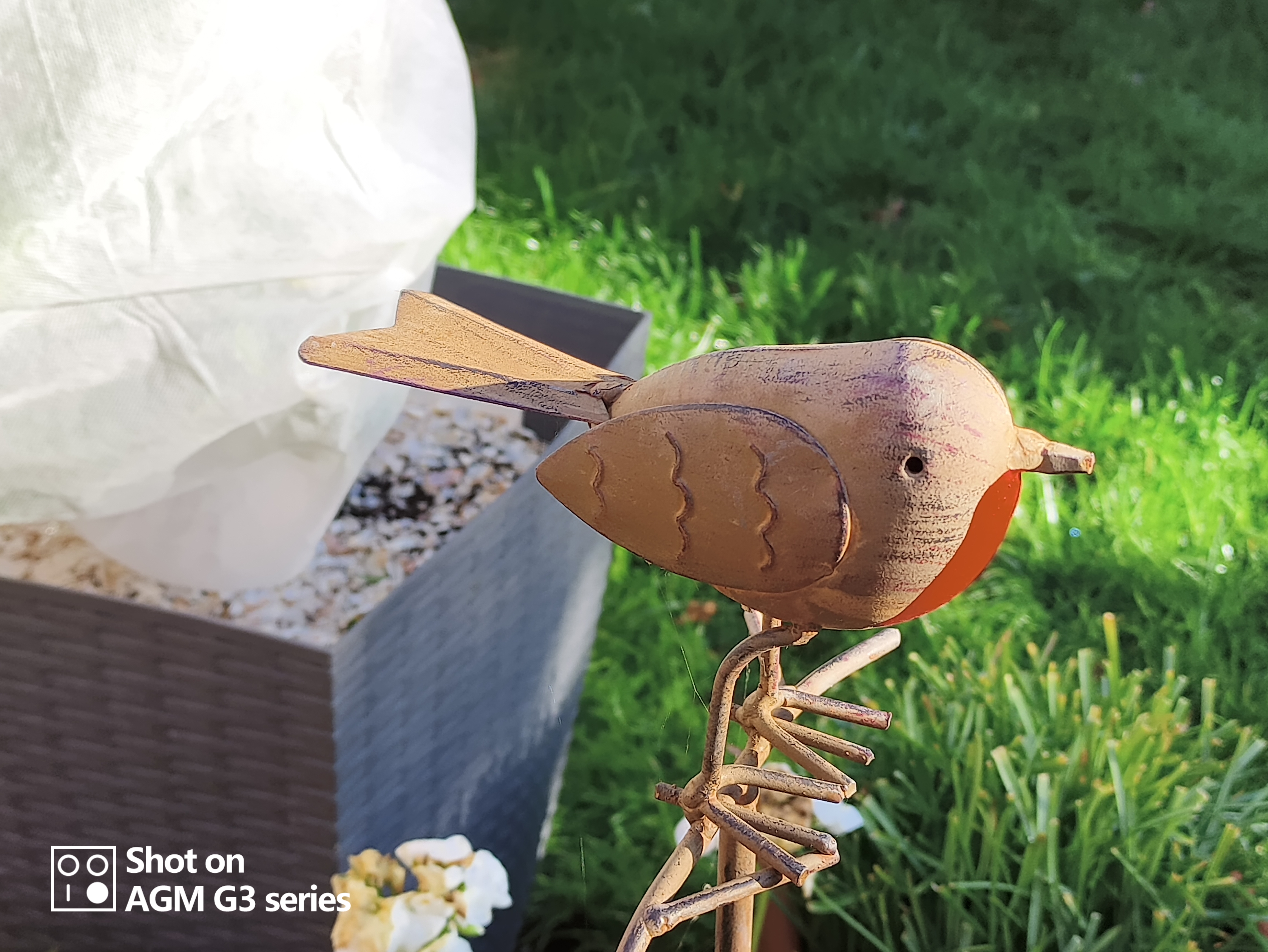 AGM G3 Pro photo and thermal examples