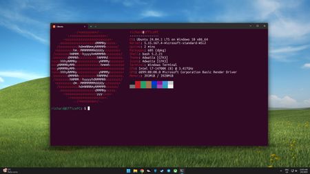 Ubunutu 24.04 running on WSL 2 on Windows 11 inside Windows Terminal. 