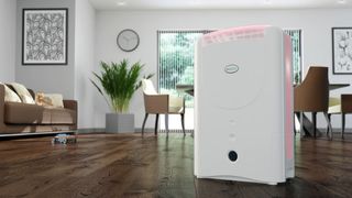 EcoAir DD1 Simple Desiccant Dehumidifier