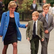 Princess Diana, Prince Harry and Prince William walking together