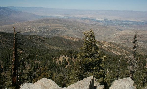 A view of the landscape where scientists found plants have shifted uphill over 30 years. 