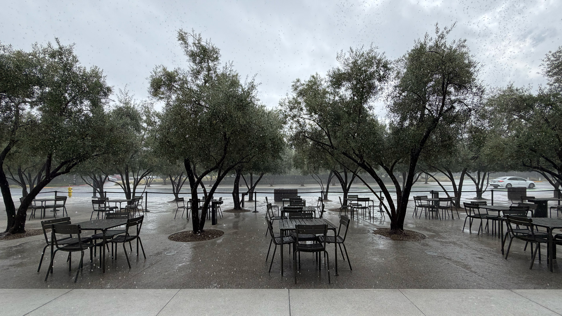 Apple iPhone 17 Pro Max REVIEW photo samples