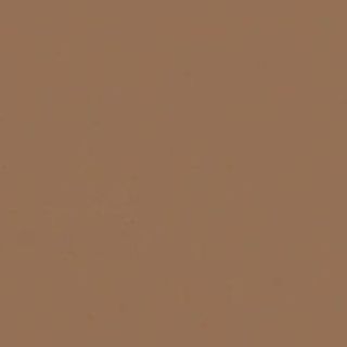 brown paint sample 