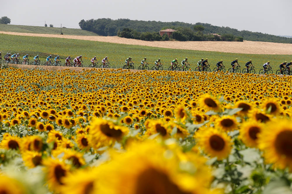 17 July 2015 102nd Tour de France Stage 13 : Muret - Rodez Peloton Photo : Yuzuru SUNADA