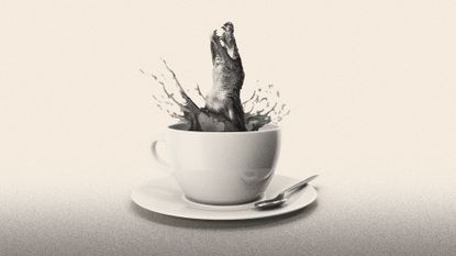 Illustration of a crocodile leaping out of a cup of tea