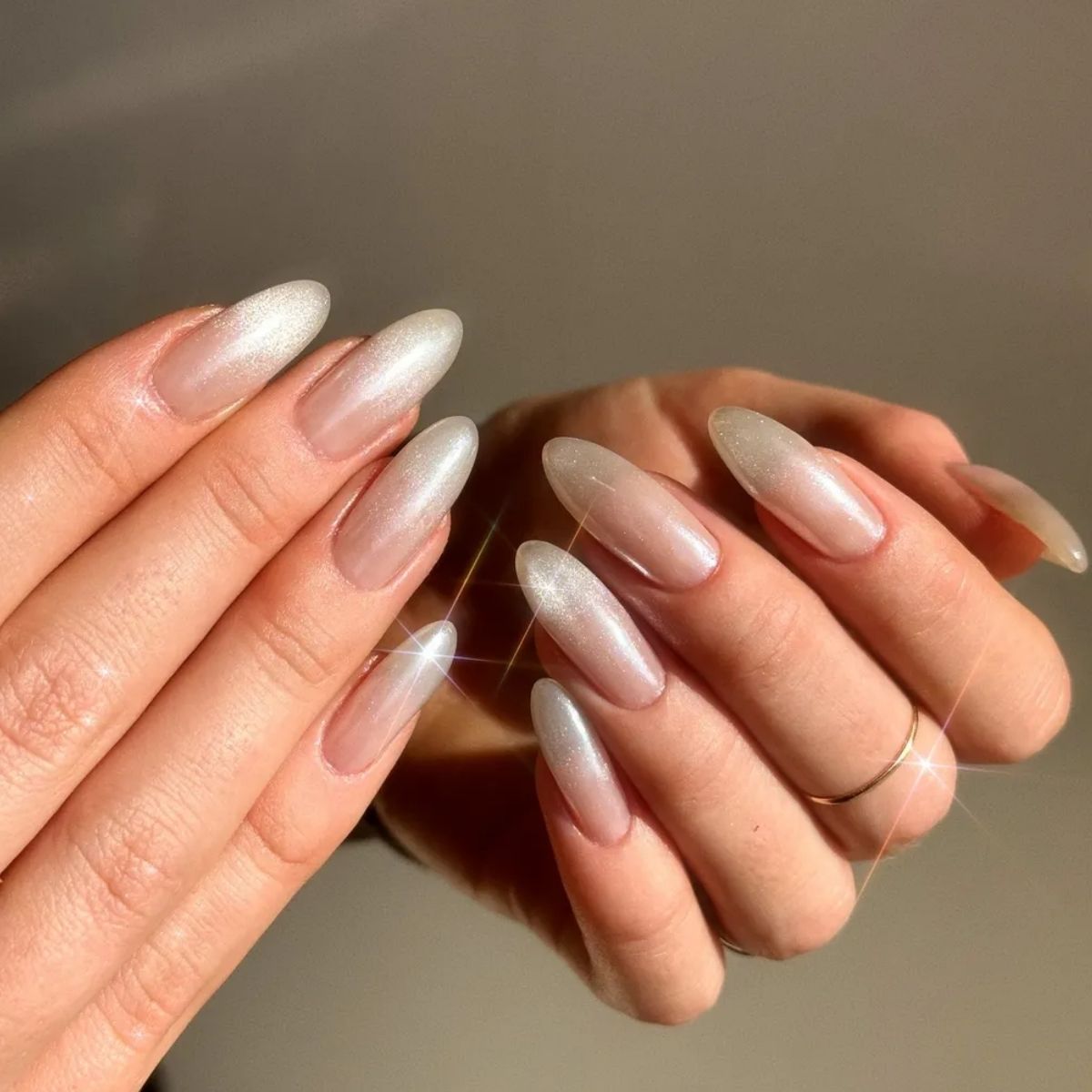 Neutral nails with a frosted silver tip