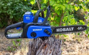 Cordless Electric Chainsaw Review 