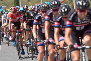 Giant Alpecin lead the peloton