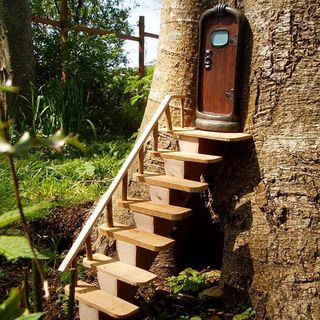 steps leading up to door of tree townhouse