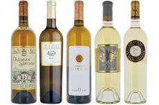 Provence white wines