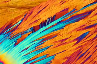 Campari is a dark-red liqueur made from citrus and herbs. It can be found in Italian spritzes, in the Americano and in Negronis. In Bernardo Cesaro's lab, it can also be found under the microscope. Here, dried crystals of Campari appear in orange and blue under polarized light.