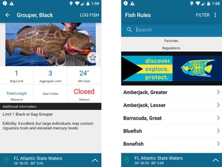 Best Fishing Apps 2020 - Maps, GPS Locations & Weather For IOS, Android ...