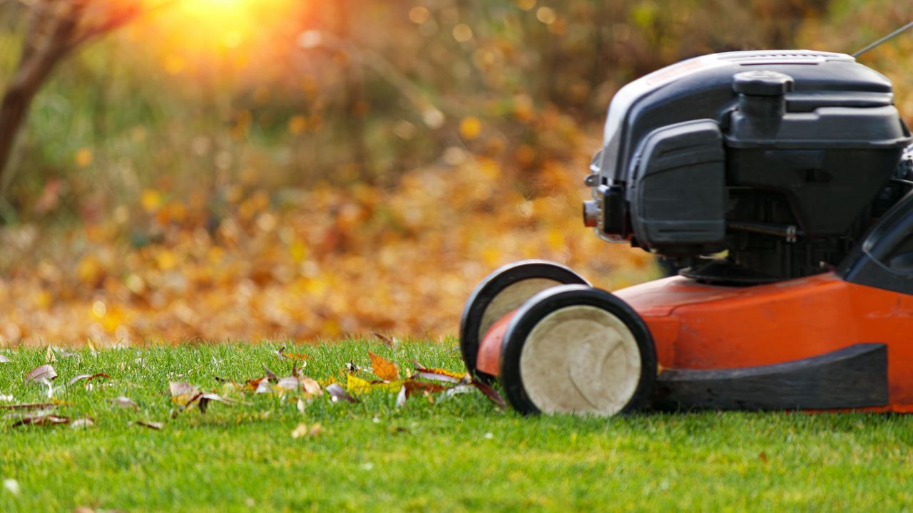 When should you stop mowing your lawn in the fall