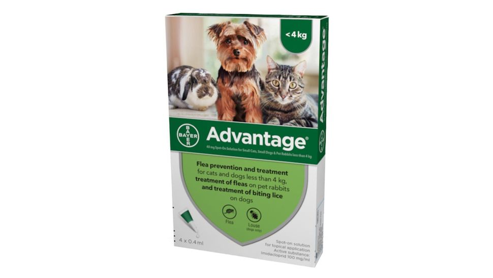 Best flea medication for dogs Pills to keep away critters PetsRadar