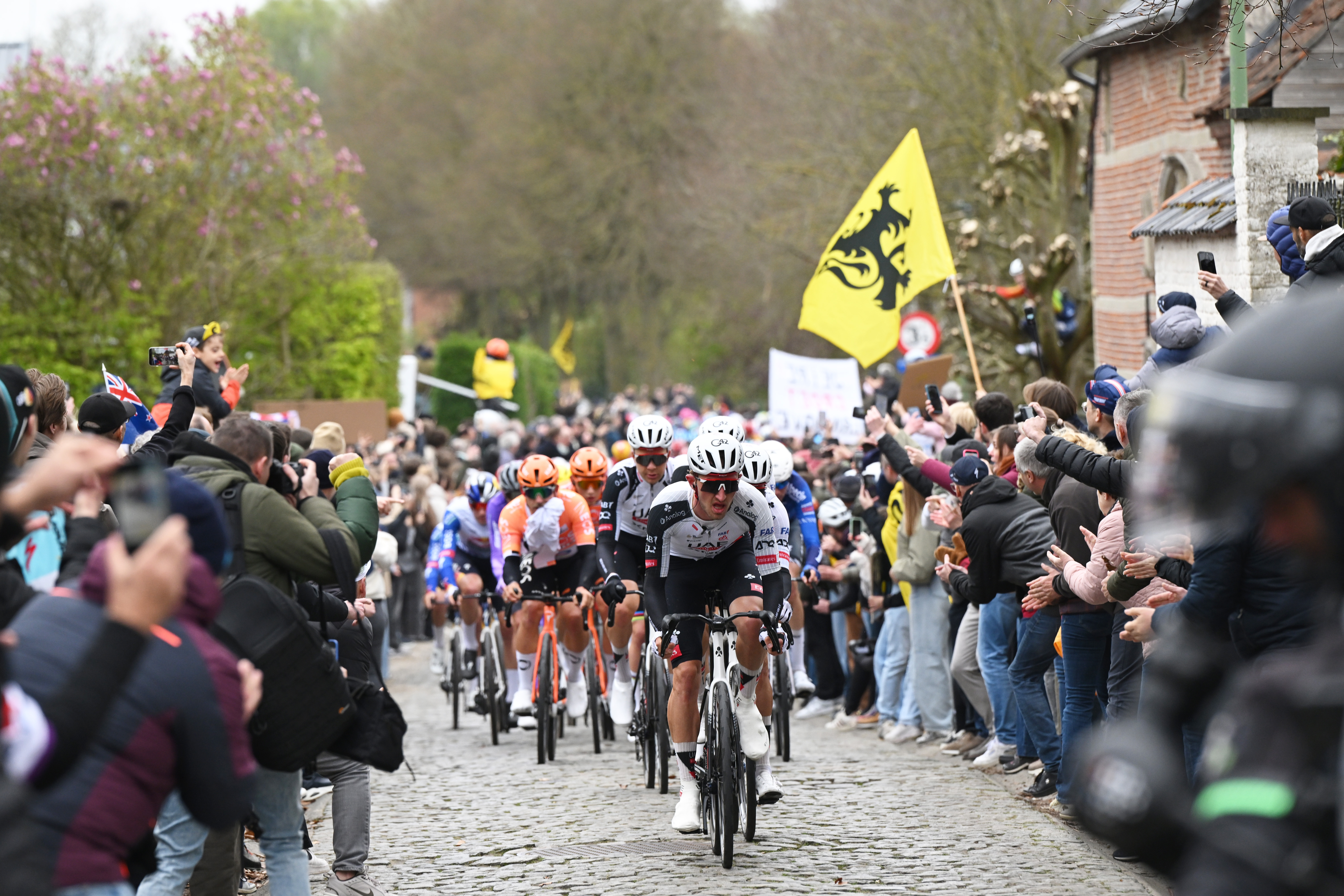Tour of Flanders Men LIVE - The first cobbles sections have been tackled