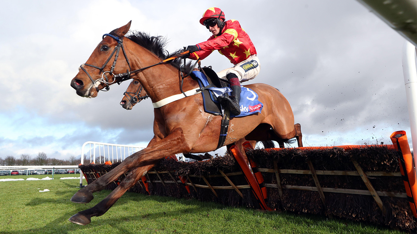 Horses to follow: the Donald McCain-trained Minella Drama