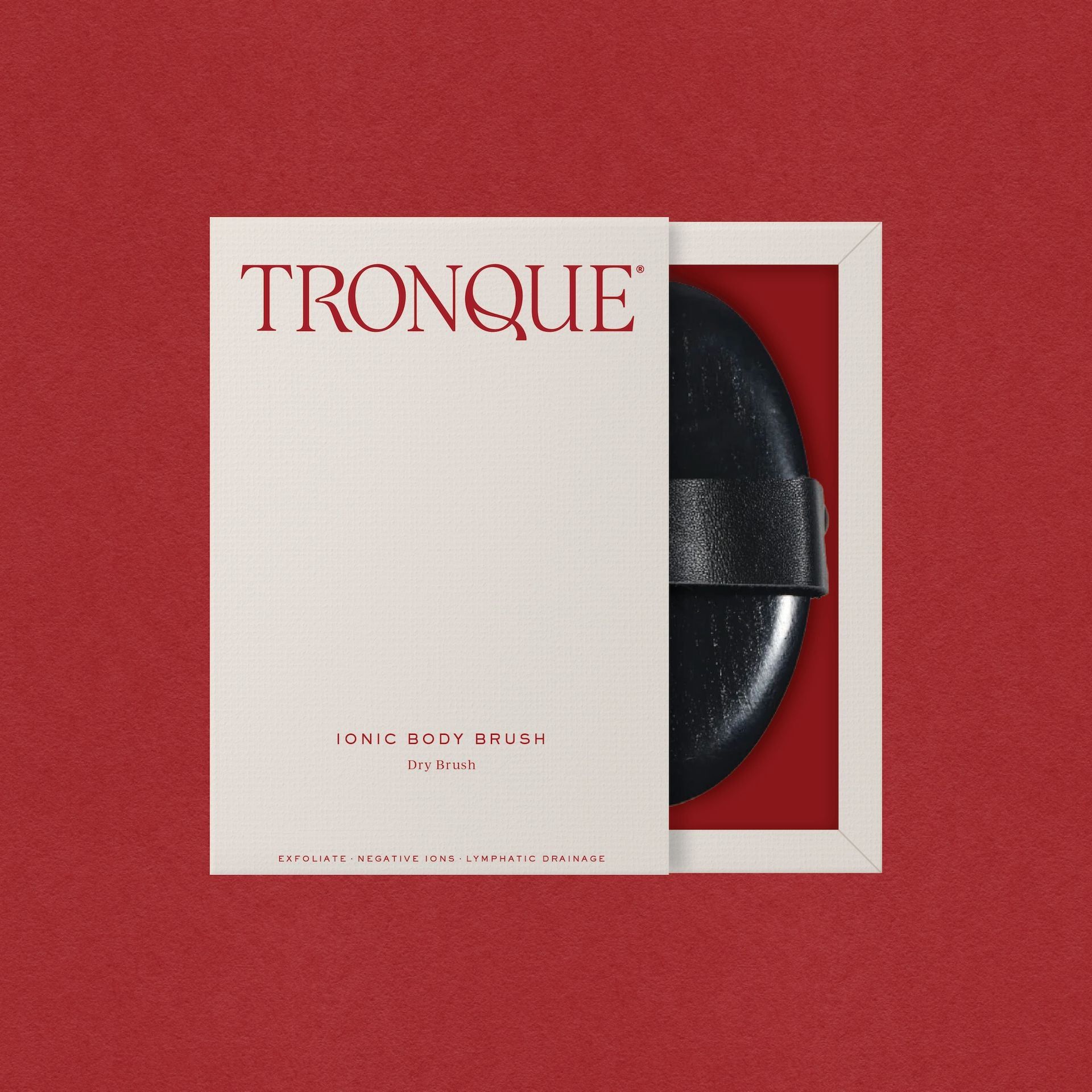 Ionic Dry Body Brush