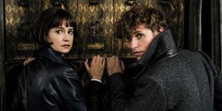 Tina and Newt in Crimes of Grindelwald