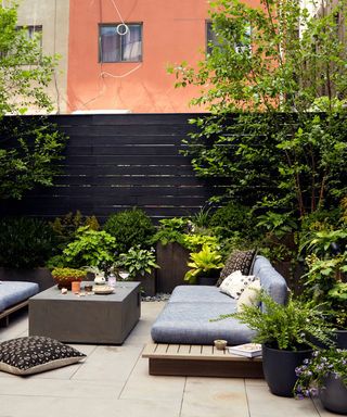 Urban garden in New York with vertical planting