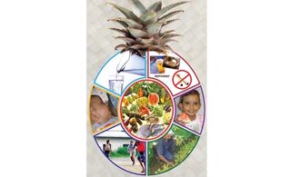 fiji, food guide, pineapple