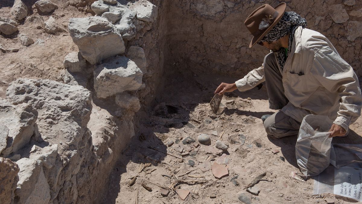 Excavation of the remains of a feast at Quilcapampa. New research reveals that vilca was mixed with a drink to produce hallucinations.