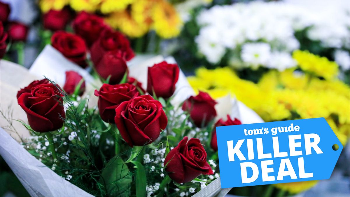 Valentine&#039;s Day Flower Deal