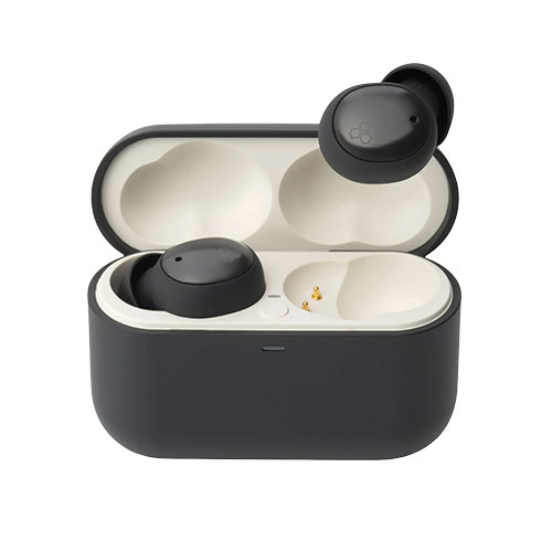 a stock picture of the Final E500 earbuds on a white background