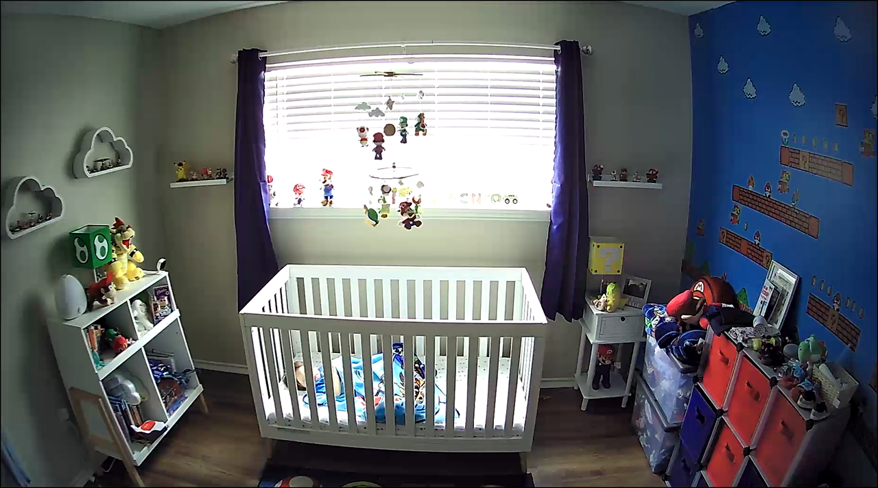 Hubble Nursery Pal Dual Vision top camera