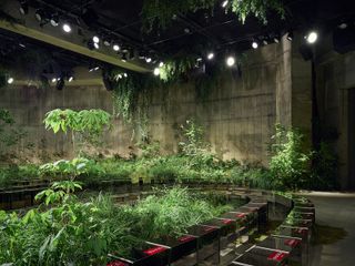 Gucci Cruise 2025 Show Set featuring plants against concrete show set at Tate Modern