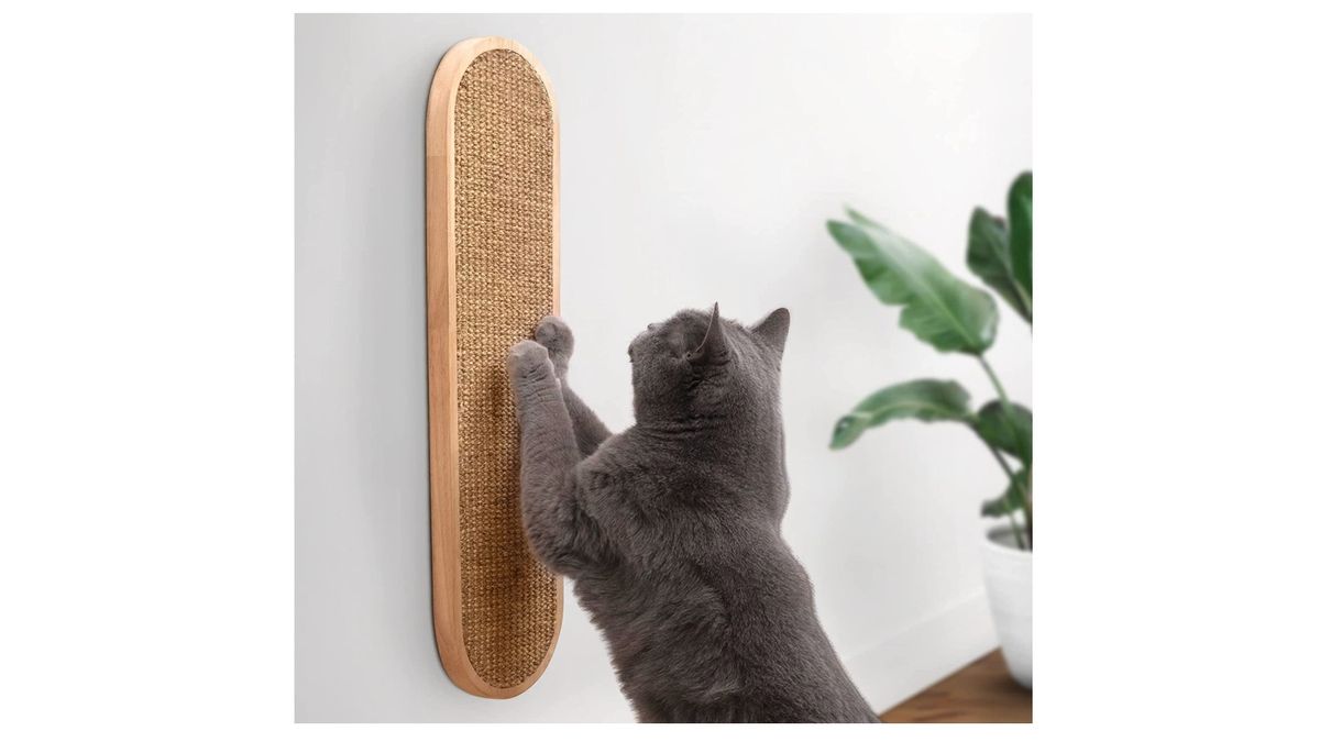 Best cat scratching posts 2024 to keep your furniture safe | PetsRadar