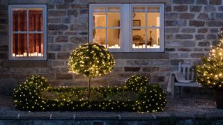house exterior with net lights covering a flower bed with twinkling lights as a creative outdoor Christmas decorating idea