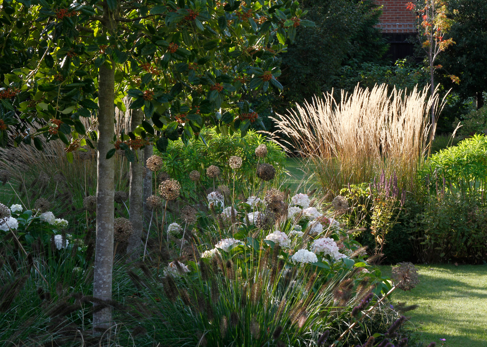garden design showing flower beds with hydrangeas, ornamental grasses, a small clipped tree and area of lawn