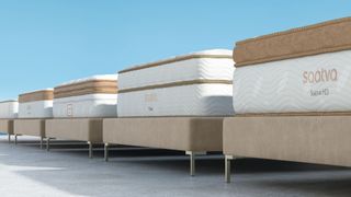 Group of Saatva mattresses on a sunny patio 