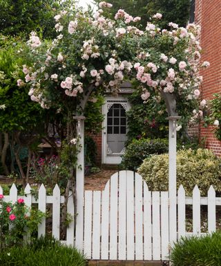 picket fence and gate with arch