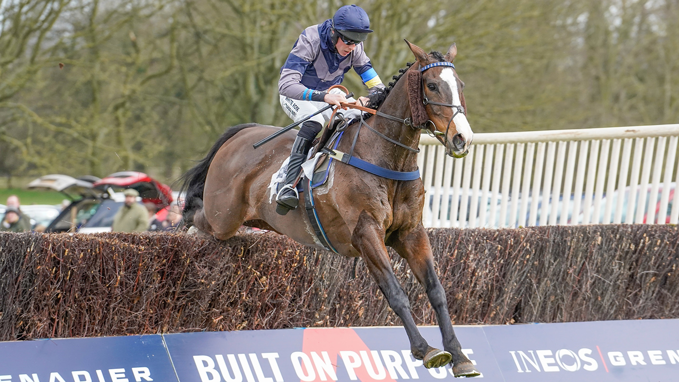 Stellar Notion and John Dawson